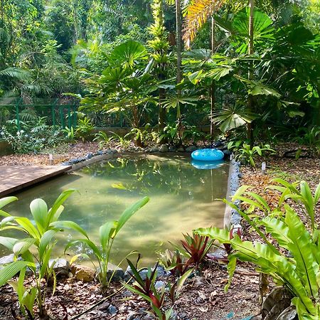 Daintree Siesta Villa Diwan Екстериор снимка