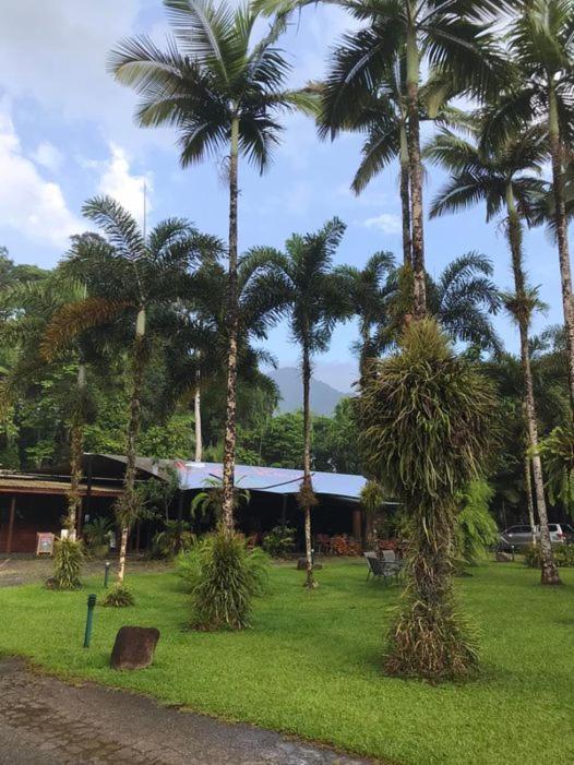 Daintree Siesta Villa Diwan Екстериор снимка